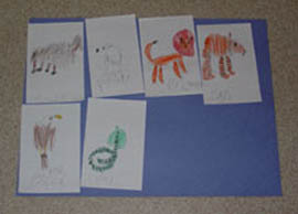 drawings