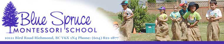 blue spruce montessori