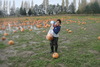 2009 Pumpkin Patch Visit Pic 10