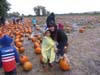 2011 Pumpkin Patch Visit Pic 5