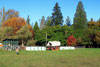 2012 Pumpkin Patch Visit Pic 1