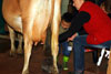 2012 Pumpkin Patch Visit Pic 7