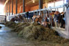 2012 Pumpkin Patch Visit Pic 8