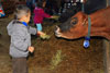 2012 Pumpkin Patch Visit Pic 9