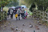 2013 Reifel Bird Sanctuary / Westham Herb Farm Pic 1
