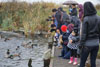2013 Reifel Bird Sanctuary / Westham Herb Farm Pic 6