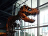2015 Science World Pic 9