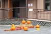2016 Fall Fair Pic 21
